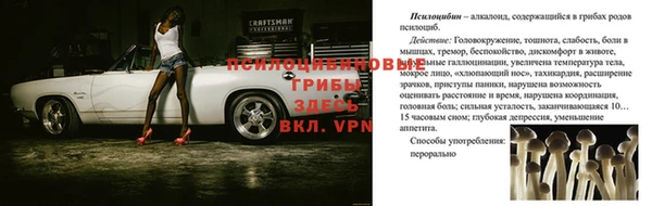 эйфоретик Киреевск