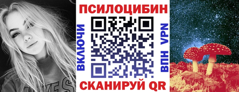 Купить  Заинск  Псилоцибиновые грибы MAGIC MUSHROOMS 